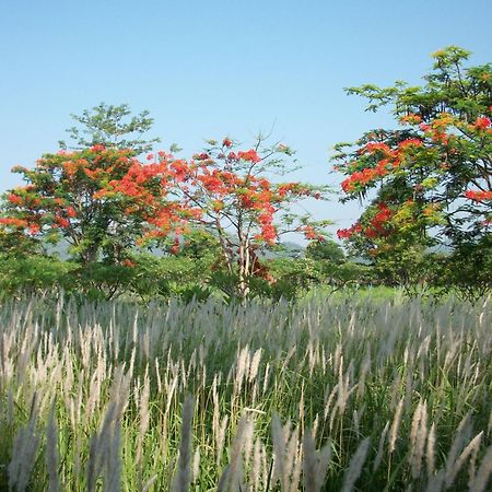 Lilawalai Resort Nong Nam Daeng Eksteriør billede
