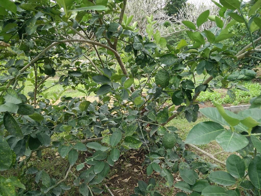 Lilawalai Resort Nong Nam Daeng Eksteriør billede