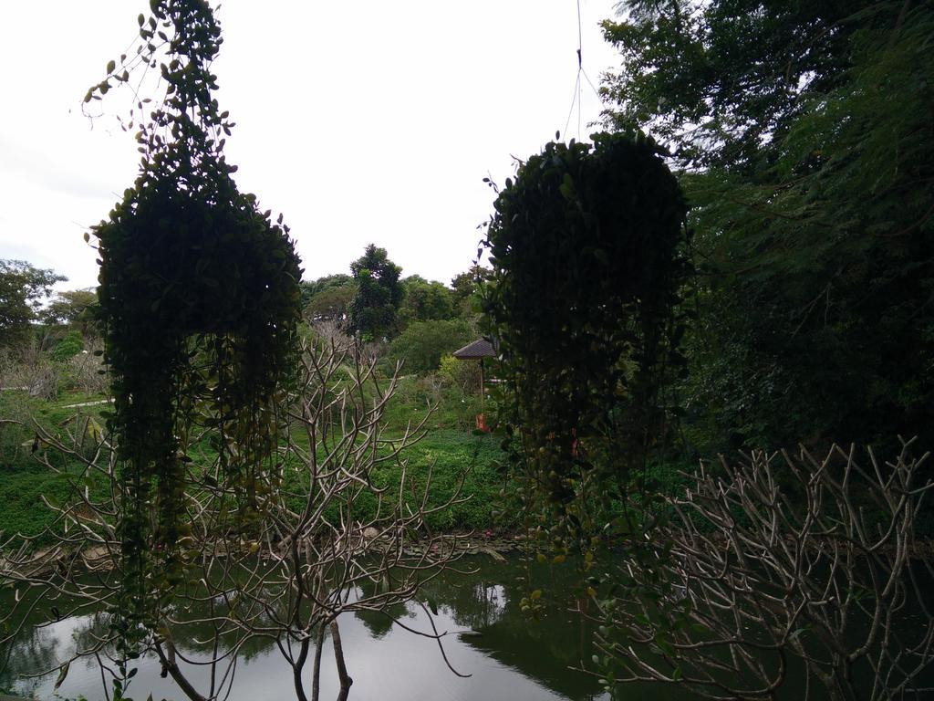 Lilawalai Resort Nong Nam Daeng Eksteriør billede
