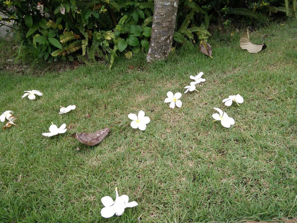 Lilawalai Resort Nong Nam Daeng Eksteriør billede